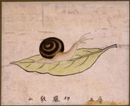 作品９