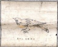 作品１１