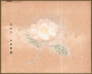 作品１２
